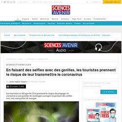 SCIENCES ET AVENIR 17/02/21 En faisant des selfies avec des gorilles, les touristes prennent le risque de leur transmettre le coronavirus