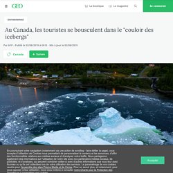 Au Canada, les touristes se bousculent dans le "couloir des icebergs"