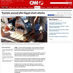 Tourists warned after Egypt shark attacks