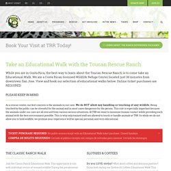 Tours – Toucan Rescue Ranch