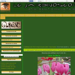 Le JardinOscope, toute la flore et la faune de nos parcs et jardins -