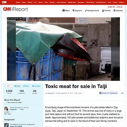 Toxic meat for sale in Taiji