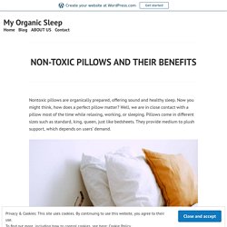 NON-TOXIC PILLOWS AND THEIR BENEFITS – My Organic Sleep