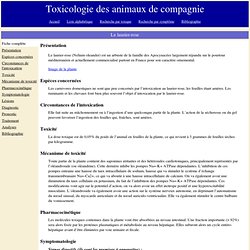 Toxicologie des animaux de compagnie