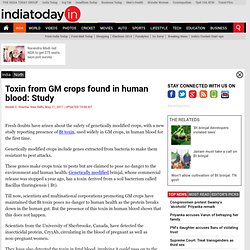 Toxin from GM crops found in human blood: Study : North, News