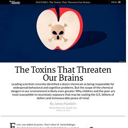 The Toxins That Threaten Our Brains
