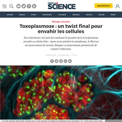 Toxoplasmose : un twist final pour envahir les cellules