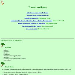 Tp1 : extraction du sucre de betterave