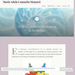 Trabajo colaborativo para la inclusión – Maria Adela Camacho Manarel
