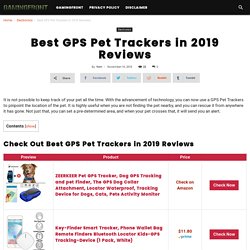 GPS Pet Trackers Reviews