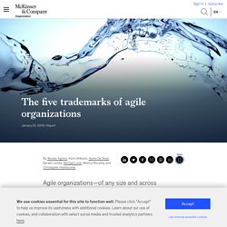 The five trademarks of agile organizations