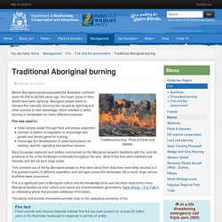 Traditional Aboriginal burning - Parks and Wildlife Service