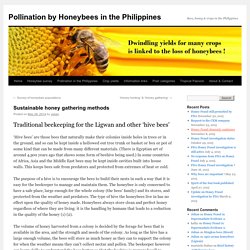 Traditional beekeepingPollination by Honeybees in the Philippines