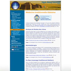Stages de médecine traditionnelle tibétaine - Projets NMI France - Ngak-Mang Institut de France
