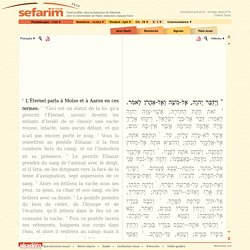 Sefarim.fr : la Bible en hébreu, en français et en anglais dans la traduction du Rabbinat avec le commentaire de Rachi