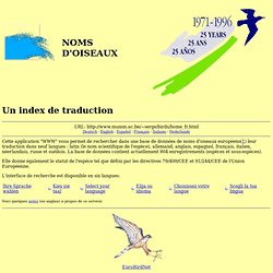 Index de traduction des noms d'oiseaux : Introduction