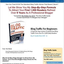 Blog Traffic For Beginners: A Step-By-Step System To Grow Your Blog Traffic From Zero To 1,000 Daily Readers