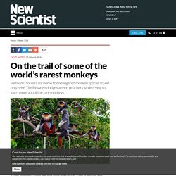 On the trail of some of the world's rarest monkeys