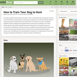 How to Train Your Dog to Hunt: 12 Steps