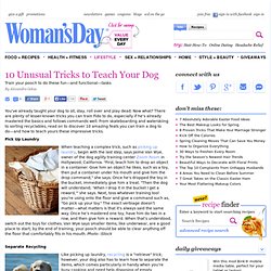 How to Train Your Dog - Cool Dog Tricks at WomansDay