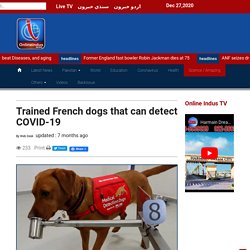 Trained French dogs that can detect COVID-19