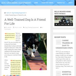 A Well-Trained Dog Is A Friend For Life