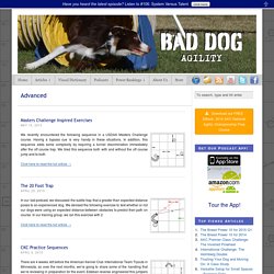 Agility Training Articles for Advanced Handlers and Dogs