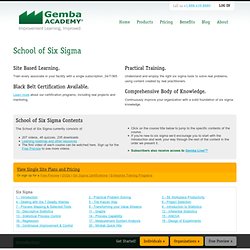 Online & DVD Based Six Sigma Training and Certification Videos