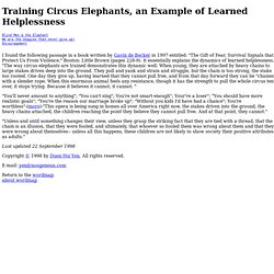Training Circus Elephants