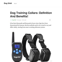 Dog Training Collars: Definition And Benefits!