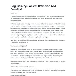 Dog Training Collars: Definition And Benefits! - Dog Orbit