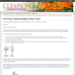 HGIC 1351 Pruning & Training Apple & Pear Trees : Extension