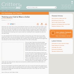 Training your cat to wear a collar - by Janet Farricelli
