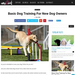 Basic Dog Training For New Dog Owners - NiftyWoof