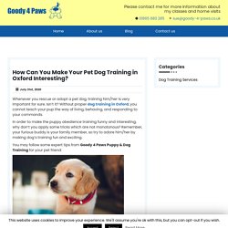 How Can You Make Your Pet Dog Training in Oxford Interesting?