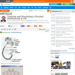 Training and Simulating a Neutral DotNetwork in C#