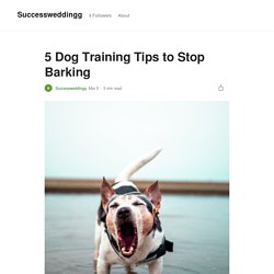 5 Dog Training Tips to Stop Barking
