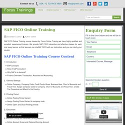 SAP FICO Online Training and Placement in USA