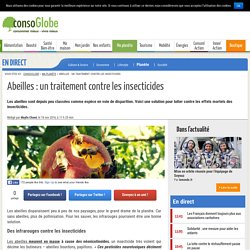 Abeilles : un traitement contre les insecticides