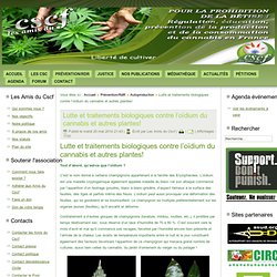 Lutte et traitements biologiques contre l’oïdium du cannabis et autres plantes!