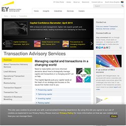 Transaction Advisory Services - EY - South Africa