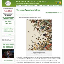 MEDIA SERVICE » The Insect Apocalypse Is Here