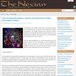 Transcending Boundaries: Identity and Oppression Within Psychedelic Culture - The Nexian