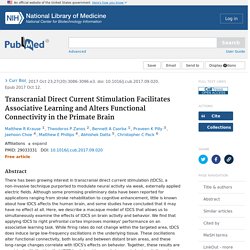 Transcranial Direct Current Stimulation Facilitates Associative Learning and Alters Functional Connectivity in the Primate Brain