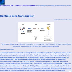 Contrôle de la transcription – Biologie cellulaire et génétique du Développement