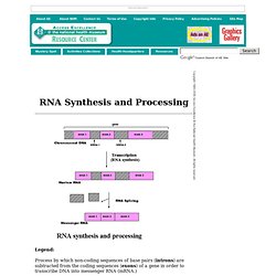 Transcription of DNA to Messenger RNA