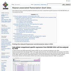 Repeat associated Transcription Start Sites - ZENBU documentation wiki