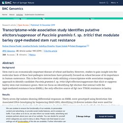 Transcriptome-wide association study identifies putative elicitors/suppressor of Puccinia graminis f. sp. tritici that modulate barley rpg4 -mediated stem rust resistance