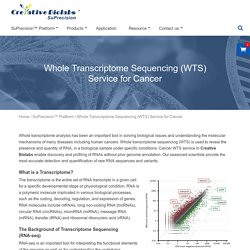 Whole Transcriptome Sequencing Service for Cancer