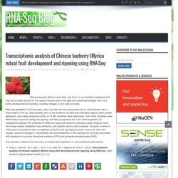 Transcriptomic analysis of Chinese bayberry (Myrica rubra) fruit development and ripening using RNA-Seq